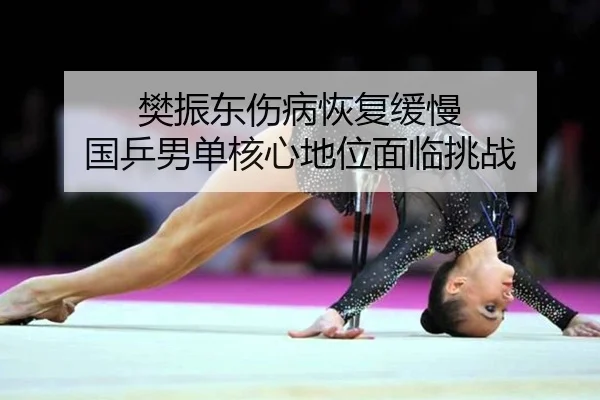 樊振东伤病恢复缓慢 国乒男单核心地位面临挑战